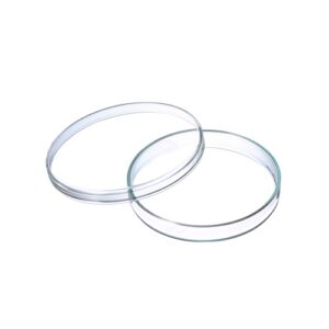 Borosilicate Glass Petri Dish Crystal Clear Glass100 mm