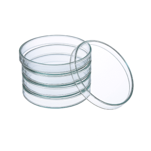 Glass petri dish