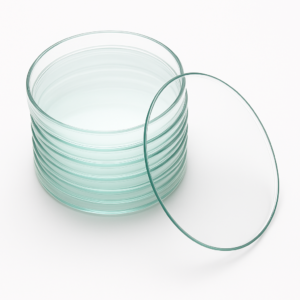 soda glass watch glass for laboratory pack of 12pcs